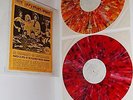 BEATLES / PAUL McCARTNEY & WINGS  In Concert  Copenhagen -2LP- TMOQ Color vinyl