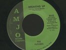 Sweet Soul/Funk 45 - Futures - Breaking Up - Amjo