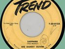BIG DANNY OLIVER Sapphire / I Wanna Go Steady 45rpm Trend 1958 black rocker