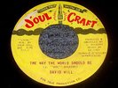 DAVID WILL - THE WAY THE WORLD SHOULD BE / SOUL CRAFT 777 RARE SOUL 45
