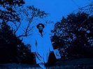 Lou Donaldson, Blues Walk LP Test Pressing SS
