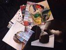 The National - DELUXE/LIMITED Trouble Will Find Me - Vinyl