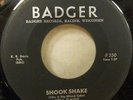 ROCKABILLY KEN DAVIS SHOOK SHAKE/ECHO ROCK RARE BADGER 250 WISCONSIN KILLER VG++