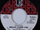 Rock 45 DOORS Hello, I Love You ELEKTRA VG++ HEAR