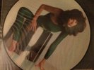Kate Bush The Kick Inside Vinyl Picture Disc