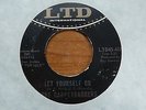 The Carpetbaggers - Let Yourself Go 1966 USA 45 LTD GARAGE/PSYCH