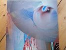 Amorphous Androgynous ?– Tales Of Ephidrina FSOL Future sound of london Vinyl
