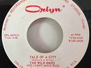 The Wild Ones 1966 Tale Of A City ORLYN 66791 Ft. Wayne, IN.Rare Garage Rock M-