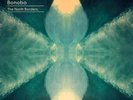 BONOBO The North Borders NEW/SEALED NINJA TUNE 2xVINYL LP