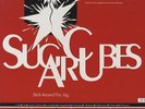 Stick Around For Joy - 200gm Sugarcubes UK vinyl LP album record TPLP30DMM
