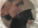 BLONDIE Parallel Lines  LP PICTURE DISC 1978 USA ORIGINAL RARE DEBBIE HARRY