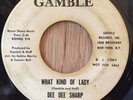 DEE DEE SHARP northern soul 45 What Kind Of Lady   Gamble DJ
