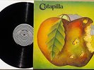 CATAPILLA SAME LP 1st ORIG UK Press (1Y//1) 1971 EX SWIRL VERTIGO Psych Prog