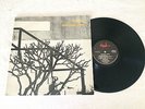 ED KUEPPER ELECTRICAL STORM 1986 AUSTRALIAN PRESS LP