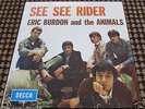THE ANIMALS SEE SEE RIDER  7