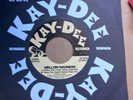 Mellow Madness - Save The Youth (Kay-Dee)