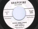 Cool Early Rock Steve Douglas 