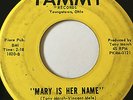 OHIO DOO-WOP 45/ THE DEL RAYS 