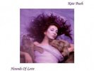 Kate Bush - Hounds of Love - 180g Vinyl LP (AAFZ 087)