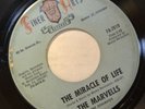 MARVELLS miracle of life / what about the mt 45 FINER ARTS northern sweet soul