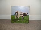 Pink Floyd - Atom Heart Mother -  1970 - LP