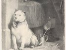 Pampered Menial  Pavlov's Dog