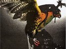 BUDGIE In For The Kill Remastered Vinyl LP 2014 NEW & SEALED Noteworthy