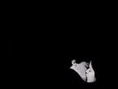 BOB MOSES Days Gone By DOUBLE LP 10 Track Ddouble Album, Limited Edition Silver