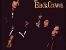 Shake Your Money Maker by Black Crowes Vinyl Record (2015) Brand New