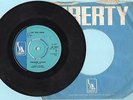 STRAWBERRY CHILDREN - LOVE YEARS COMING - 1967 LIBERTY LABEL LBF15012 - PSYCH