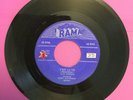 45 rpm THE WRENS  
