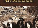 The Southern Harmony And Musical Companion 2 LP Vinyl Black Crowes (2015) New