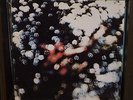 OG EX Pink Floyd Obscured by Clouds Vinyl Syd Barrett David Gilmour Roger Waters