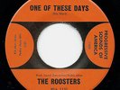 Hear? The Roosters ?– One Of These Days / You Gotta Run 1966 EX Vinyl 7