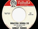 Hear? Sunday Funnies  ?–Whatcha Gonna Do/A Pindaric Ode 1967 Garage EX Vinyl 45