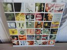 PEARL JAM - No Code. 1996Sony/Epic + Inserts