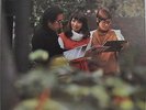 Masaru Imada Standards Japan LP Three Blind Mice 1976 TBM-77 Insert