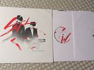 SOFT CELL: Rare 12