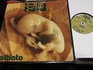 FRANCO BATTIATO LP 1972 FETUS ORIGINALE PRIMA STAMPA BLA BLA BBXL 10001