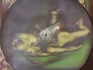 Tool Aenima Picture Disc 1996 Import Prog Rock Heavy Metal 