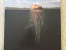 The Mars Volta ?– De-Loused In The Comatorium 2 LP SILVER Vinyl RARE GSL75