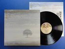 GENESIS  WIND AND WUTHERING charisma 76 A2B3 orig LP nr MINT STUNNING