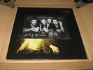 WOLF ALICE - MY LOVE IS COOL UK 2LP GOLD VINYL LTD SIGNED ART CARD. LPSEALEDNEW