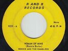 70s Soul 45 - Ronnie & the Ramblers - Woman Of Mine - R&R - mp3