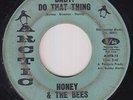 Funk 45 - Honey & The Bees - Baby, Do That Thing - Arctic - mp3