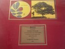 Rare Jack Johnson Record Award