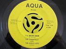 NORTHERN SOUL 45-Chantells With The Aqualads-I'll Never Know/Dont Look-Aqua HEAR