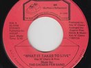 Modern Soul 45 - Chosen Few Band - What It Takes To Live - BR - VG+ mp3 - rare