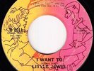 Northern Soul 45 - Little Jewel - I Want To - Tay-Ster - mp3