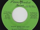 Funk Disco/Sweet Soul 45 - Black Experiences - Shake What You Got - Microtronics